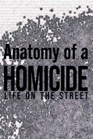 Image Anatomy of a 'Homicide: Life on the Street'