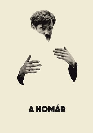 Poster A homár 2015