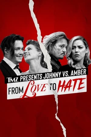Image Johnny vs Amber: From Love to Hate
