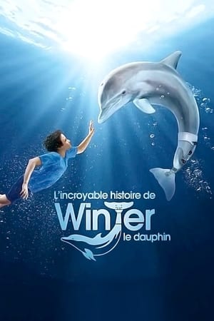 Poster L'Incroyable Histoire de Winter le dauphin 2011