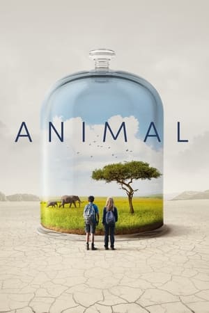 Poster Animal 2021
