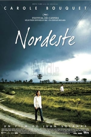 Poster Nordeste 2005
