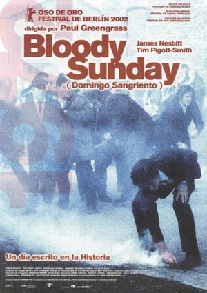 Poster Domingo sangriento 2002