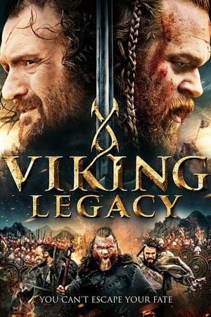 Poster Viking Kanı 2016