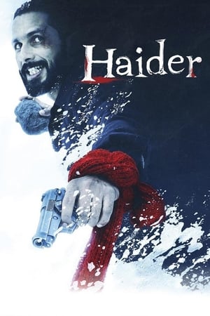 Poster Haider 2014