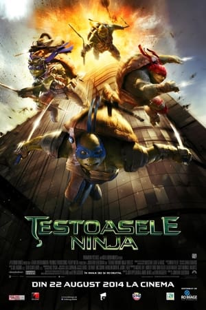 Poster Țestoasele Ninja adolescente 2014