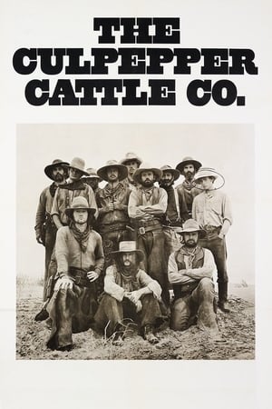 Poster The Culpepper Cattle Co. 1972