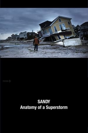 Poster Sandy: Anatomy of a Superstorm 2012