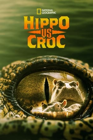 Image Hroch versus krokodýl