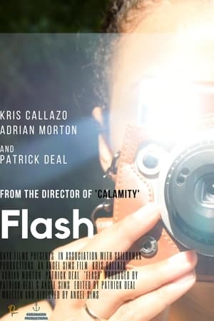Poster Flash 2019