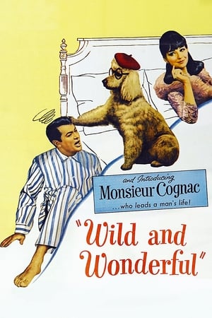 Poster Monsieur Cognac 1964
