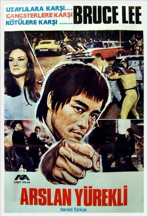 Poster Ejder Kalesi 1973