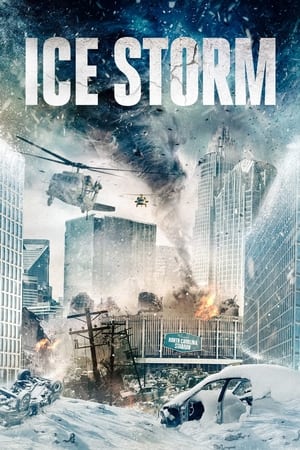 Image Ice Storm