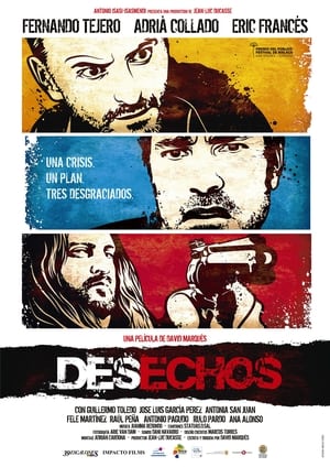 Poster Desechos 2010
