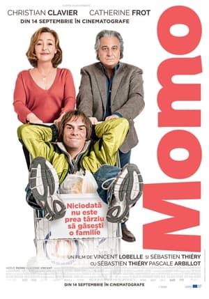 Poster Momo 2017