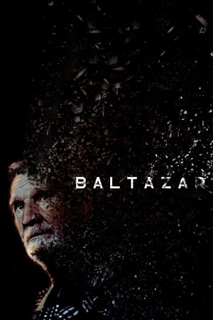 Poster Baltazar 2023