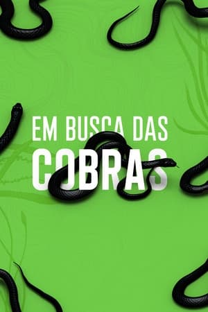 Poster Em Busca das Cobras 2020