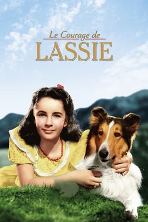Image Le Courage de Lassie