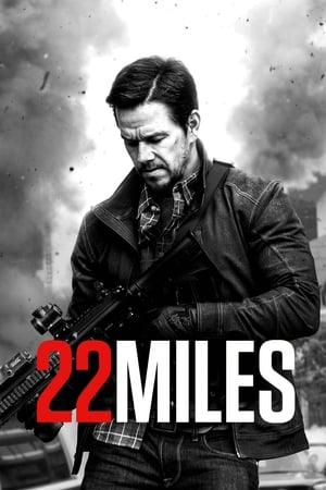 Poster 22 Miles 2018