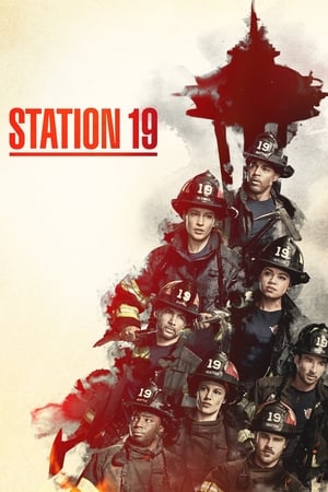 Poster Station 19 2018