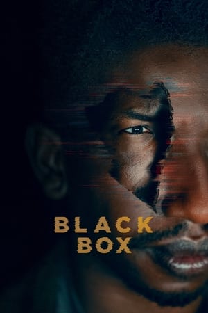 Poster Black Box 2020
