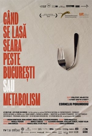 Poster Когда в Бухаресте наступает вечер, или Метаболизм 2013