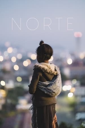 Poster Norte 2020