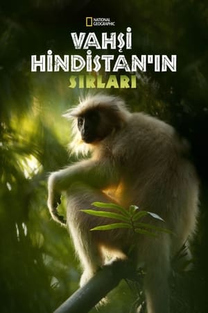 Poster Secrets of Wild India 2012