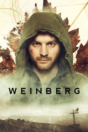 Poster Weinberg 2015