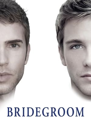 Poster Bridegroom 2013