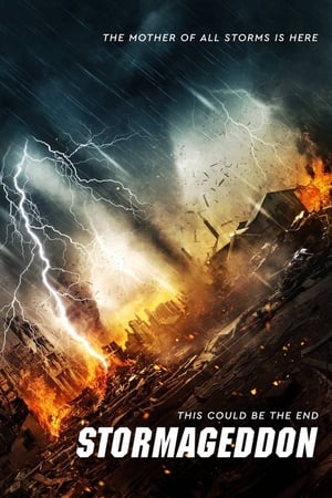 Poster Stormageddon 2015