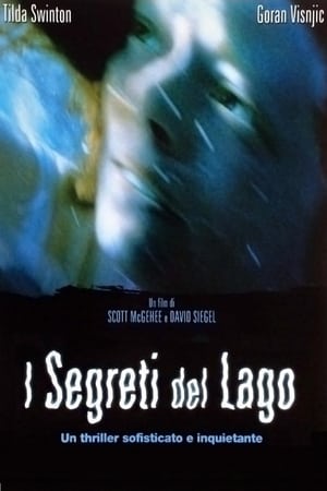 Poster I segreti del lago 2001