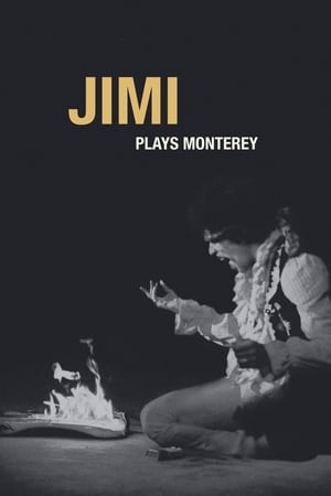 Poster Jimi Plays Monterey 1987