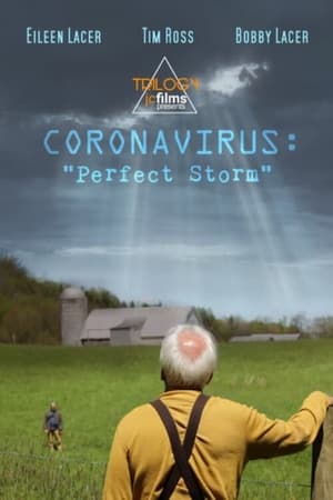 Poster Coronavirus: Perfect Storm 2020