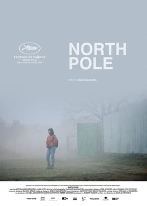 Poster Kuzey Kutbu 2021