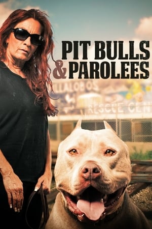 Poster Pit Bulls and Parolees 2009