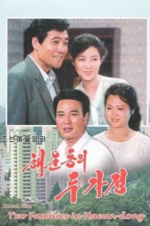 Poster Two Families In Haeun-Dong 1996