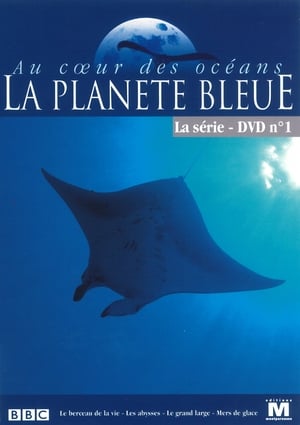 Poster Au cœur des océans - La Planète bleue Saison 1 Mers de glaces 2001