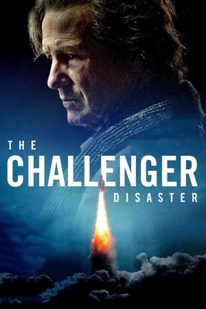 Poster The Challenger 2013