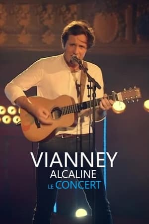 Image Vianney - Alcaline le Concert
