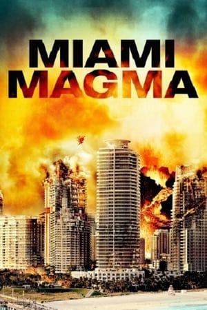 Poster Miami Magma 2011