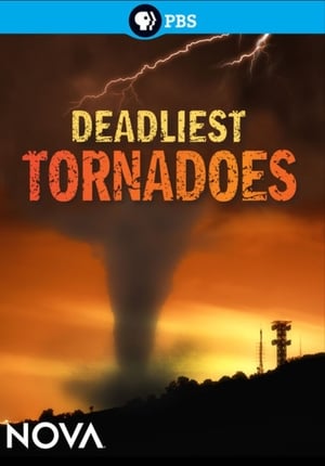 Poster Deadliest Tornadoes 2012
