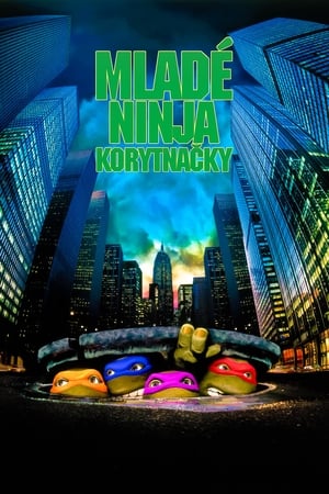 Poster Mladé ninja korytnačky 1990