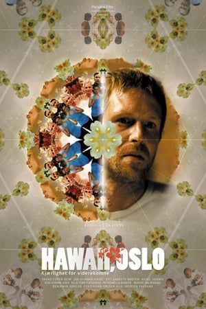 Poster Hawaii, Oslo 2004