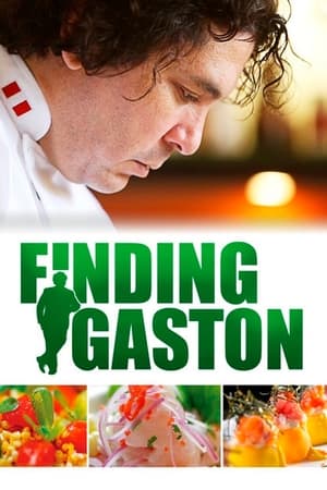 Image Buscando a Gaston