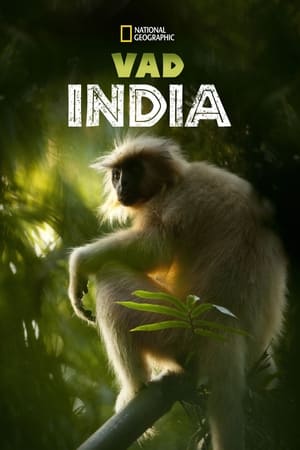 Poster Vad India 2012