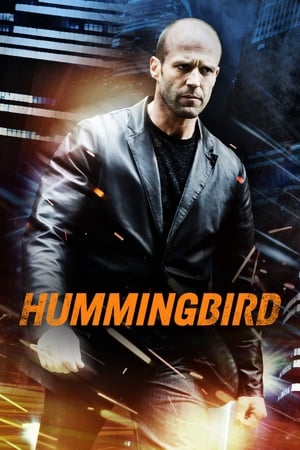 Poster Hummingbird 2013