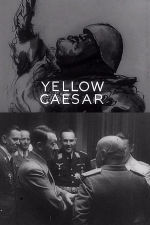 Image Yellow Caesar
