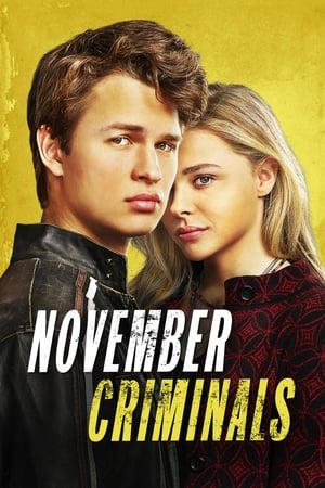 Poster Kasım Suçluları 2017