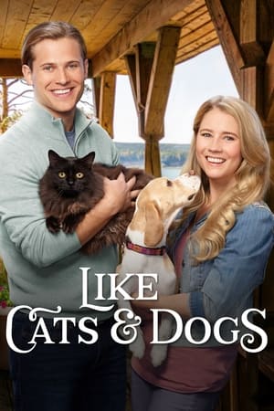 Poster Like Cats & Dogs 2017
